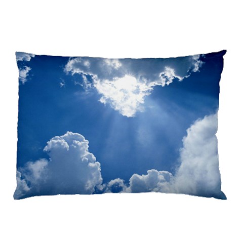 from ArtsNow.com 26.62 x18.9  Pillow Case