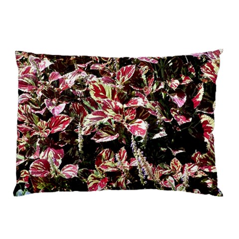 from ArtsNow.com 26.62 x18.9  Pillow Case