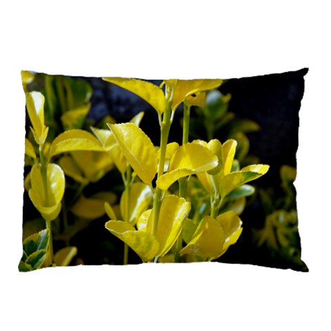 from ArtsNow.com 26.62 x18.9  Pillow Case