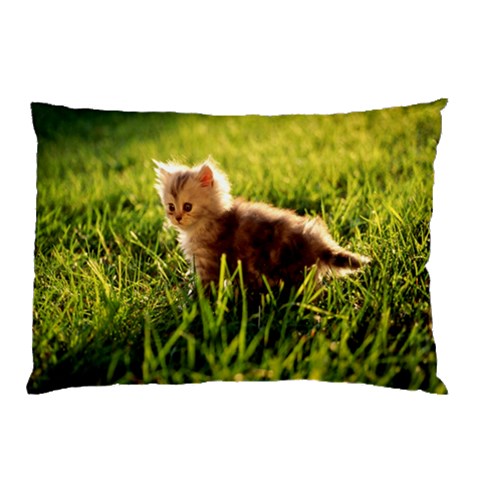 from ArtsNow.com 26.62 x18.9  Pillow Case