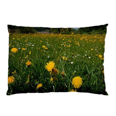 from ArtsNow.com 26.62 x18.9  Pillow Case