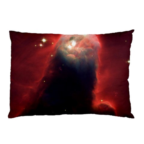 from ArtsNow.com 26.62 x18.9  Pillow Case