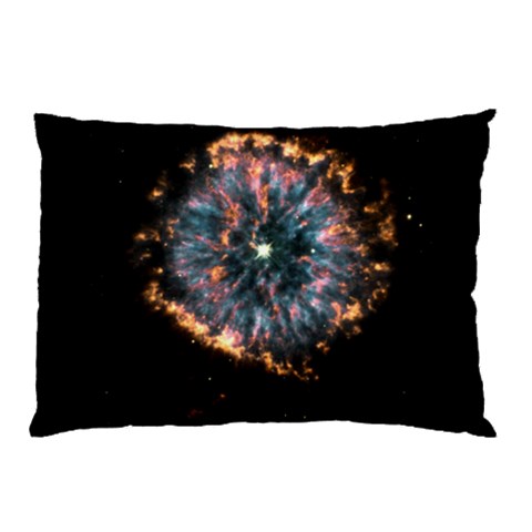 from ArtsNow.com 26.62 x18.9  Pillow Case