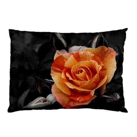 from ArtsNow.com 26.62 x18.9  Pillow Case