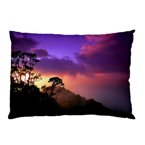 from ArtsNow.com 26.62 x18.9  Pillow Case