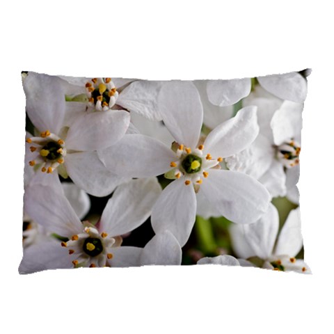 from ArtsNow.com 26.62 x18.9  Pillow Case