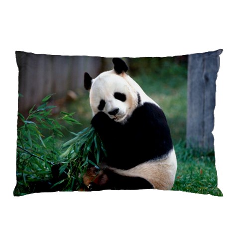 from ArtsNow.com 26.62 x18.9  Pillow Case