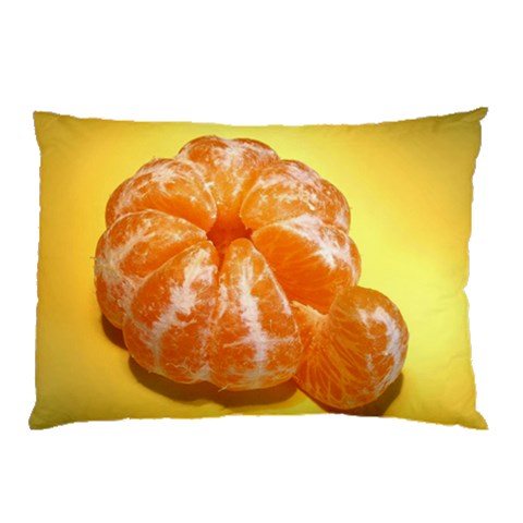 from ArtsNow.com 26.62 x18.9  Pillow Case
