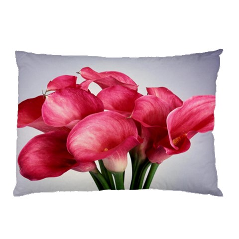 from ArtsNow.com 26.62 x18.9  Pillow Case