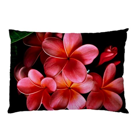 from ArtsNow.com 26.62 x18.9  Pillow Case