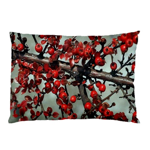 from ArtsNow.com 26.62 x18.9  Pillow Case