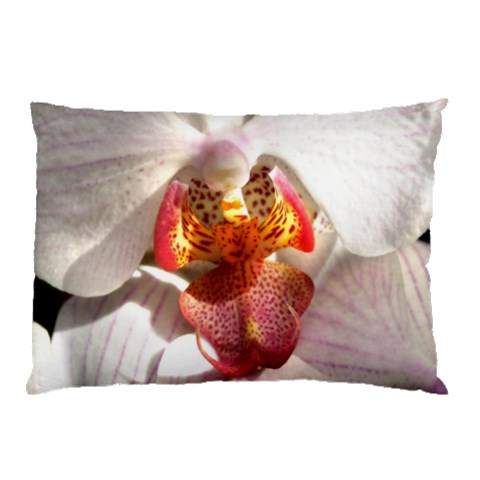 from ArtsNow.com 26.62 x18.9  Pillow Case