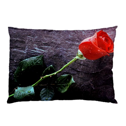 from ArtsNow.com 26.62 x18.9  Pillow Case