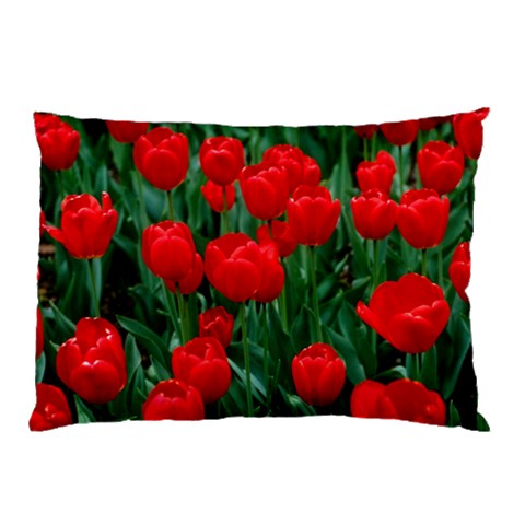 from ArtsNow.com 26.62 x18.9  Pillow Case