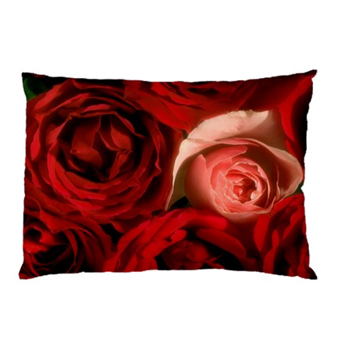 from ArtsNow.com 26.62 x18.9  Pillow Case