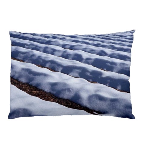 from ArtsNow.com 26.62 x18.9  Pillow Case