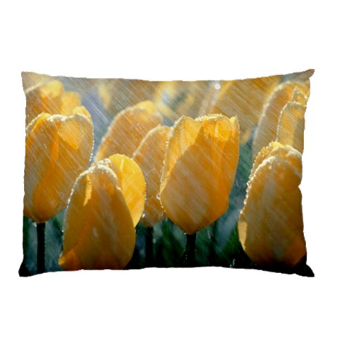 from ArtsNow.com 26.62 x18.9  Pillow Case