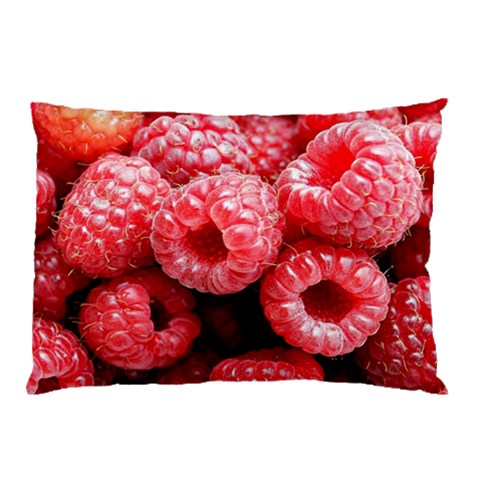 from ArtsNow.com 26.62 x18.9  Pillow Case