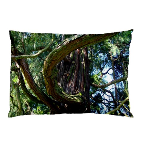 from ArtsNow.com 26.62 x18.9  Pillow Case