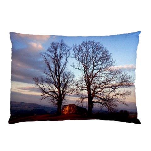 from ArtsNow.com 26.62 x18.9  Pillow Case