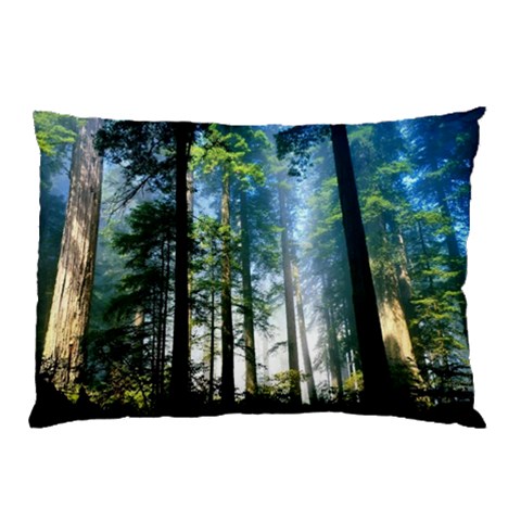 from ArtsNow.com 26.62 x18.9  Pillow Case