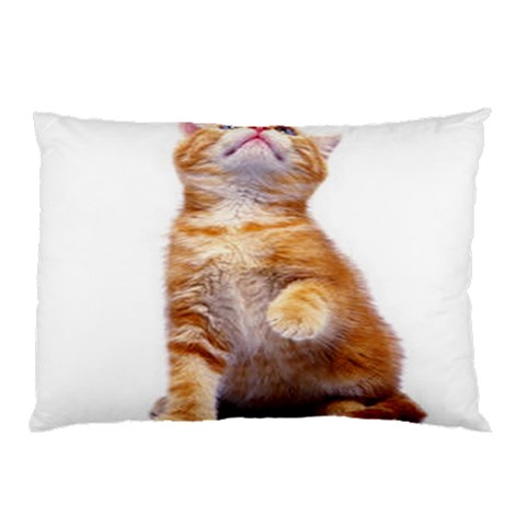 from ArtsNow.com 26.62 x18.9  Pillow Case