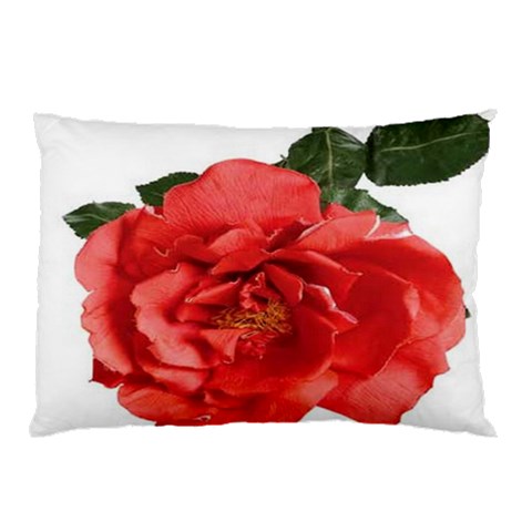 from ArtsNow.com 26.62 x18.9  Pillow Case