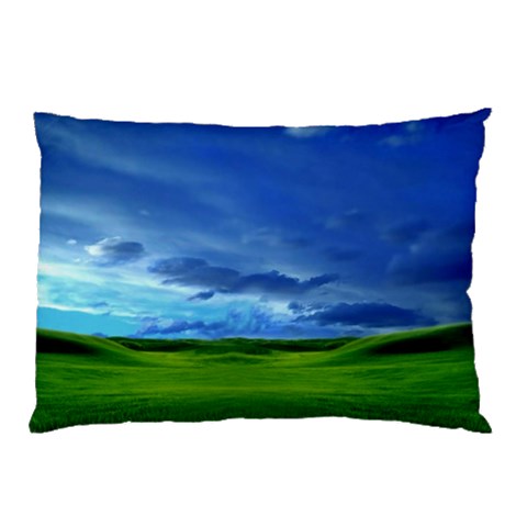 from ArtsNow.com 26.62 x18.9  Pillow Case