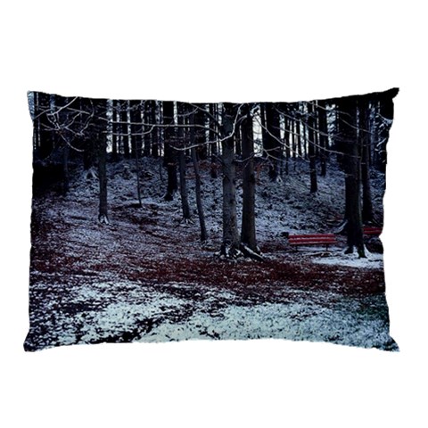 from ArtsNow.com 26.62 x18.9  Pillow Case