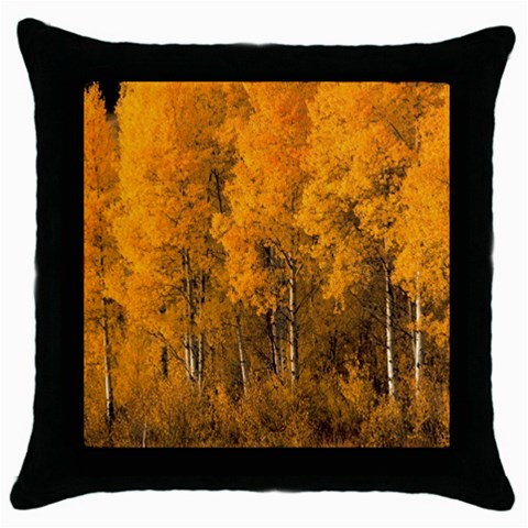 from ArtsNow.com Front