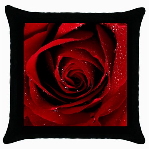 from ArtsNow.com Front