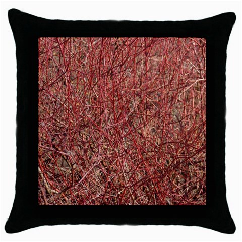 from ArtsNow.com Front