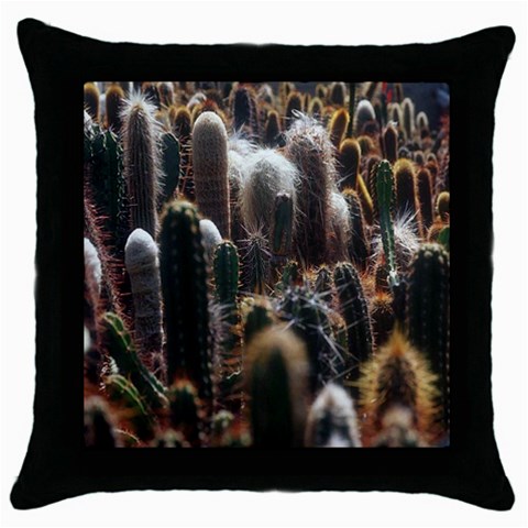 from ArtsNow.com Front