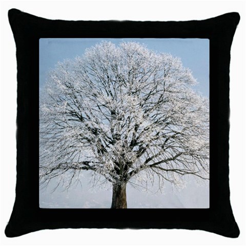 from ArtsNow.com Front