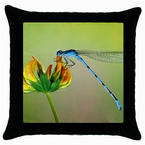 from ArtsNow.com Front