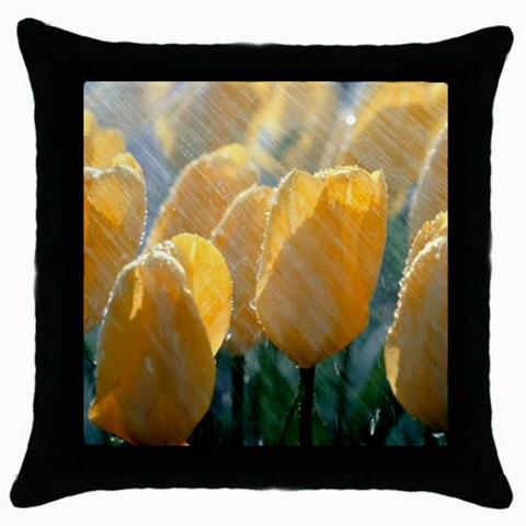 from ArtsNow.com Front