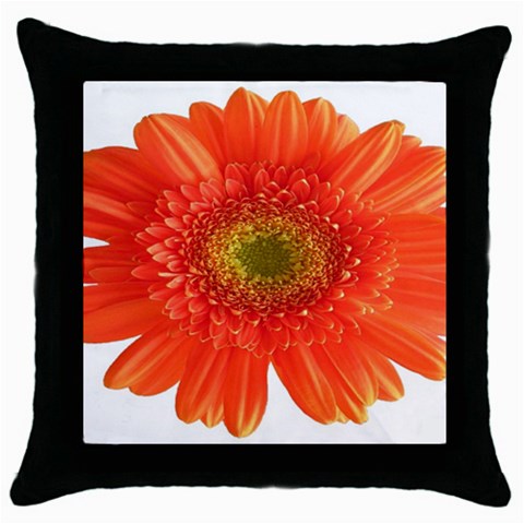 from ArtsNow.com Front