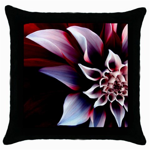 from ArtsNow.com Front