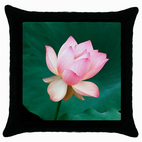 from ArtsNow.com Front