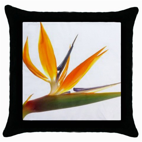 from ArtsNow.com Front