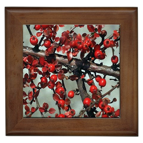 from ArtsNow.com Front