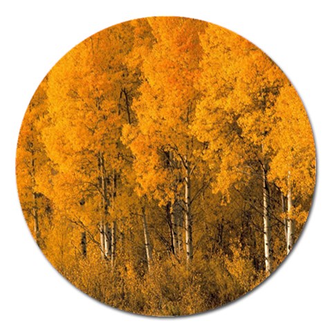 from ArtsNow.com Front