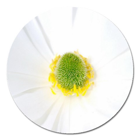 from ArtsNow.com Front