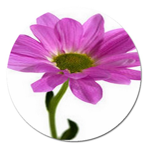 from ArtsNow.com Front