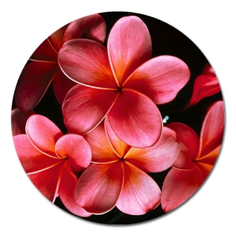 from ArtsNow.com Front