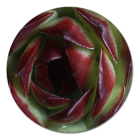 from ArtsNow.com Front