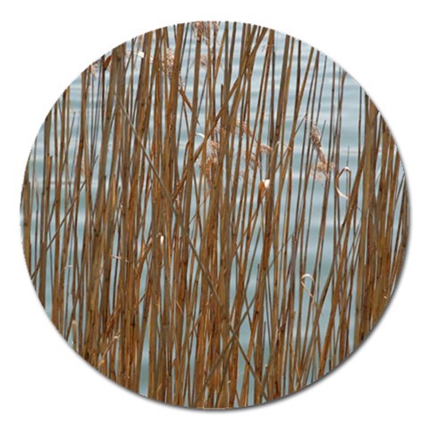 from ArtsNow.com Front
