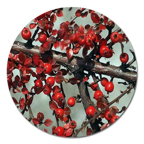 from ArtsNow.com Front