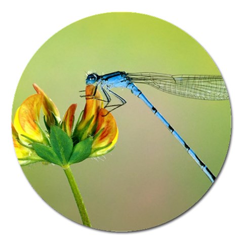 from ArtsNow.com Front