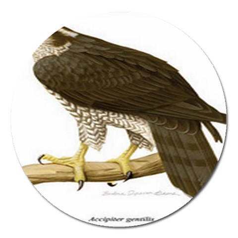 from ArtsNow.com Front